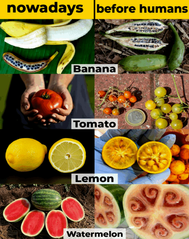 Quelle: Genetic Literacy Project