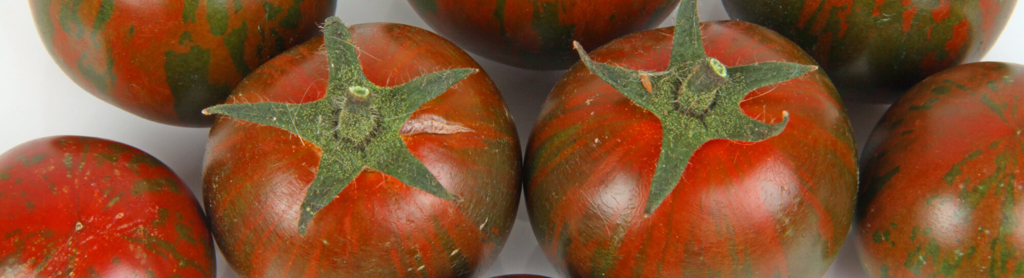 Pourquoi les consommateurs acceptent les aliments issus de l’édition du génome dans leur assiette