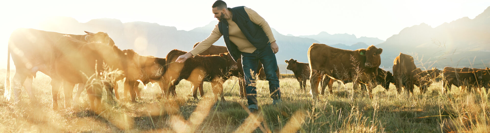 'Smallholder farmers produce 70% of the world’s food'