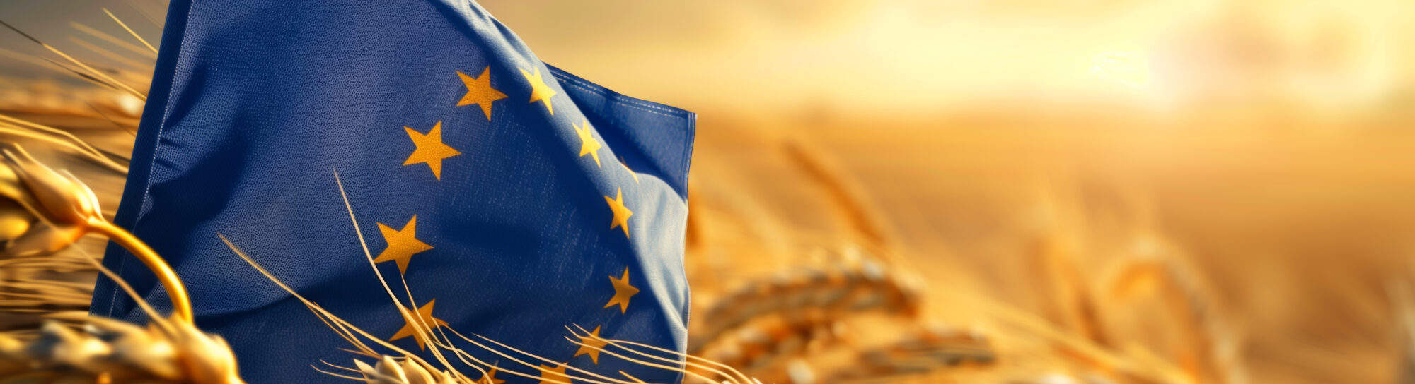 Neue Züchtungsmethoden am Scheideweg