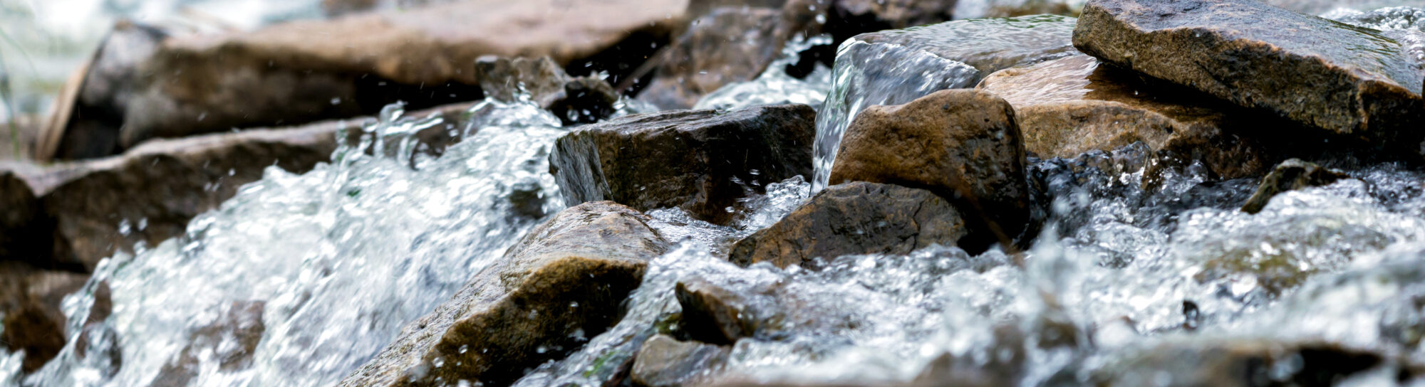 Pestizide im Wasser: Die Quellen sind vielfältig und liegen näher, als wir denken