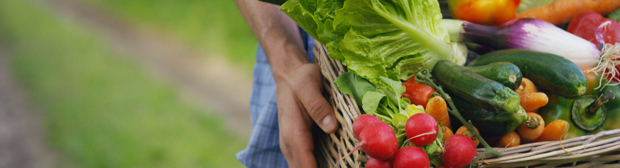ARTE-Dokumentation: Gentechnik in der Biolandwirtschaft?