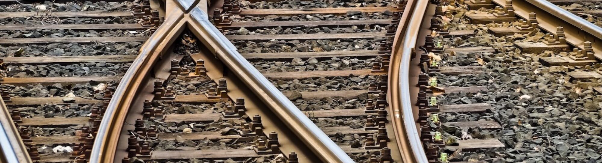Glyphosate returns to Germany’s railway tracks