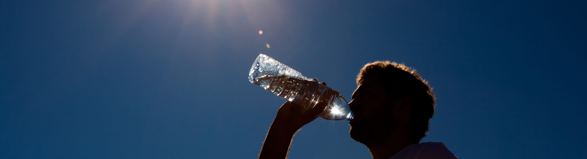 Legionella, Japanese beetles, and market turbulences: What are the consequences of the dry heatwave summer 2026?