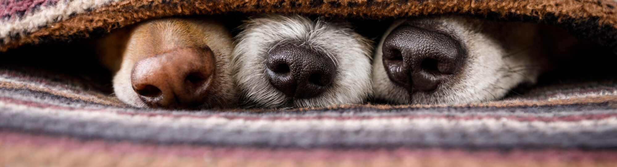 Wie unser Alltag ins Wasser gelangt