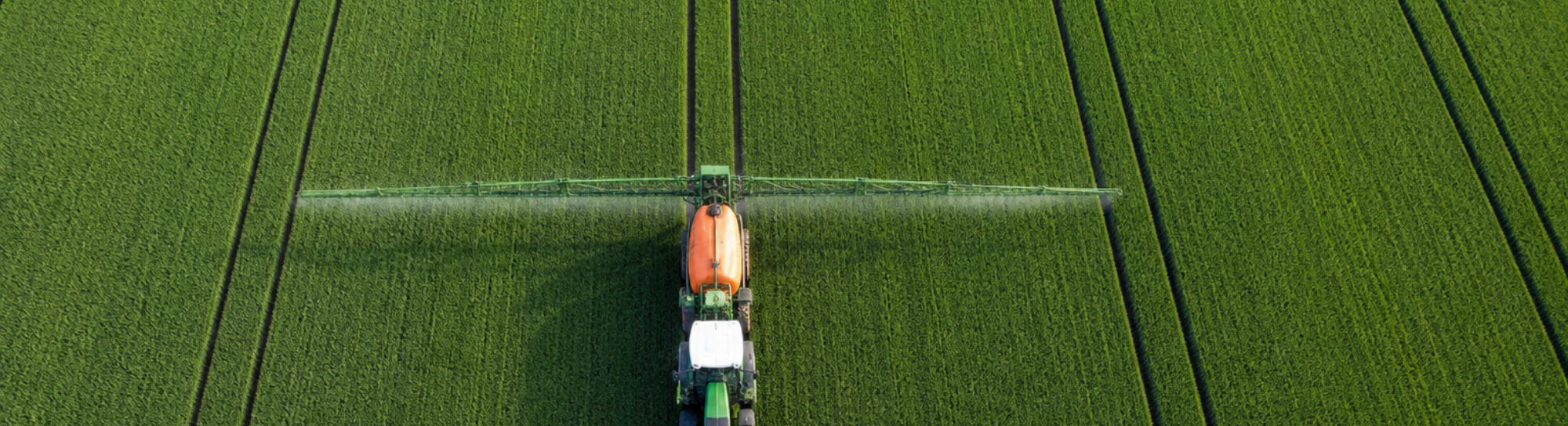 Präzision statt Verbote: Was das Projekt «Pflopf» zeigt