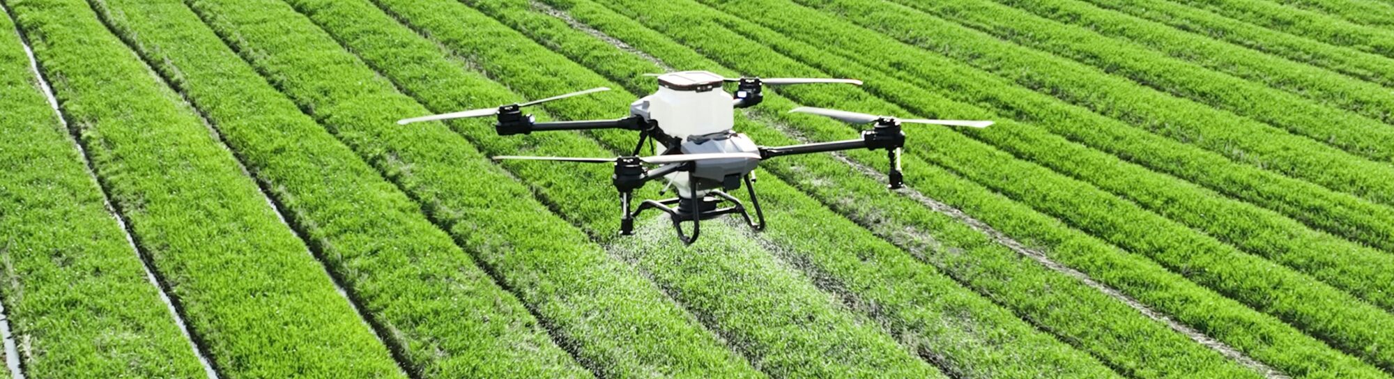 Mit Innovation die Ernährungssicherheit gewährleisten