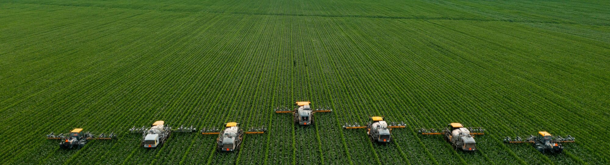 Warum Verbraucher genomeditierte Lebensmittel auf dem Teller akzeptieren