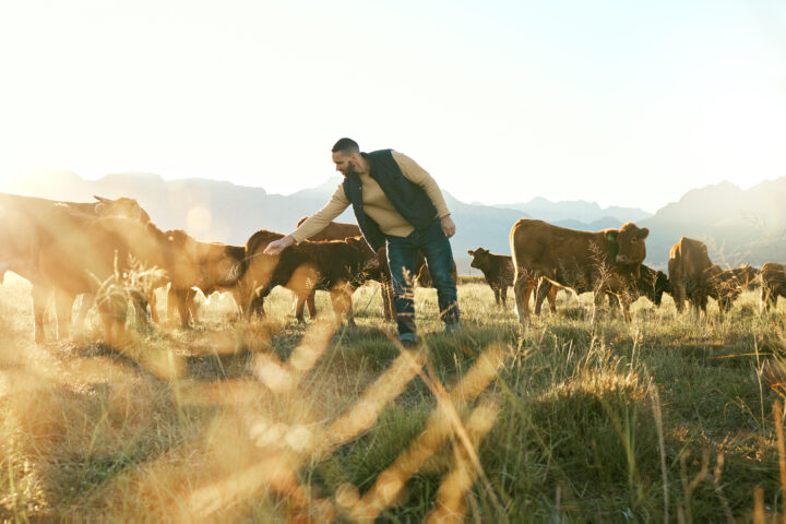 «Kleinbäuerinnen und -bauern erzeugen 70 % der weltweiten Nahrungsmittel»