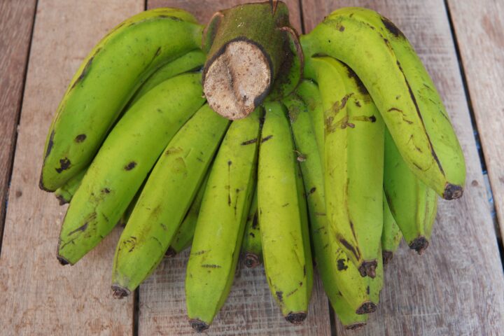 Wie Gentechnik die Cavendish-Banane rettet