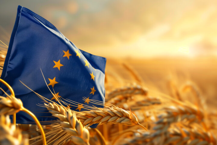 Neue Züchtungsmethoden am Scheideweg