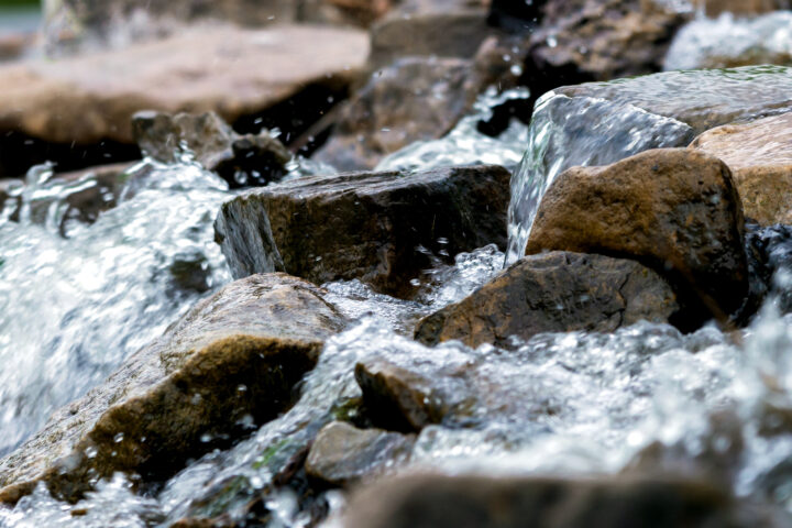 Pestizide im Wasser: Die Quellen sind vielfältig und liegen näher, als wir denken