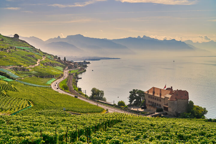 Triazole dans le lac Léman : les autorités lèvent l'alerte