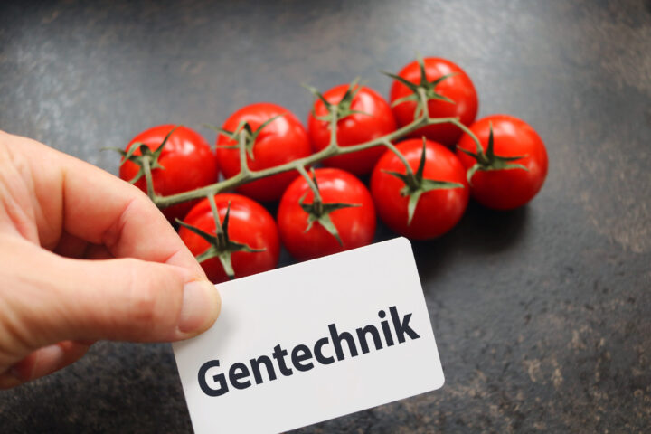 Des tomates devant les yeux