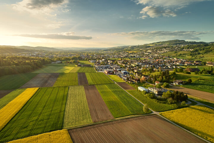 Volle Regale – aber natürlich! Wie sicher ist unsere Versorgung wirklich?