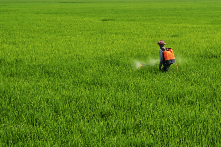 Génie génétique dans l’agriculture biologique ?