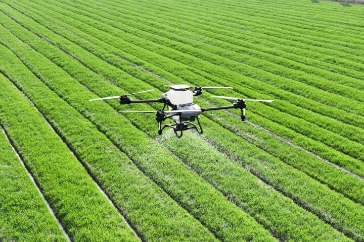 Mit Innovation die Ernährungssicherheit gewährleisten