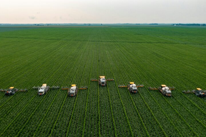 Pourquoi les consommateurs acceptent les aliments issus de l’édition du génome dans leur assiette