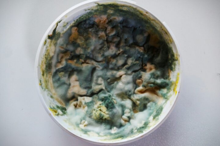 Natürliche Gifte: Unterschätzte Gefahr in unserer Nahrung