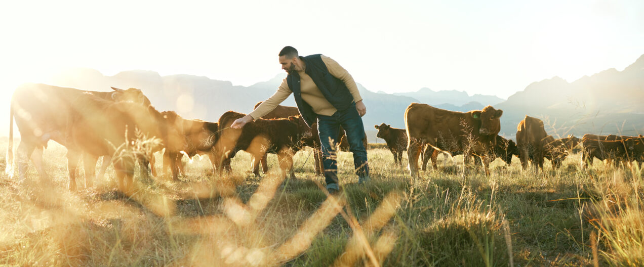 'Smallholder farmers produce 70% of the world’s food'