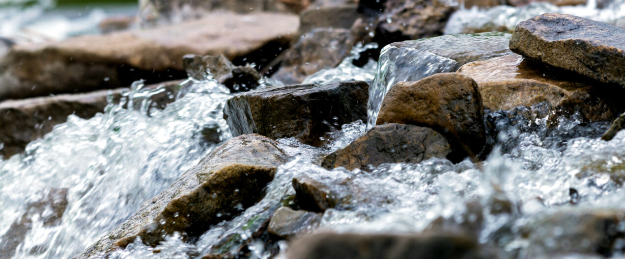 Pestizide im Wasser: Die Quellen sind vielfältig und liegen näher, als wir denken