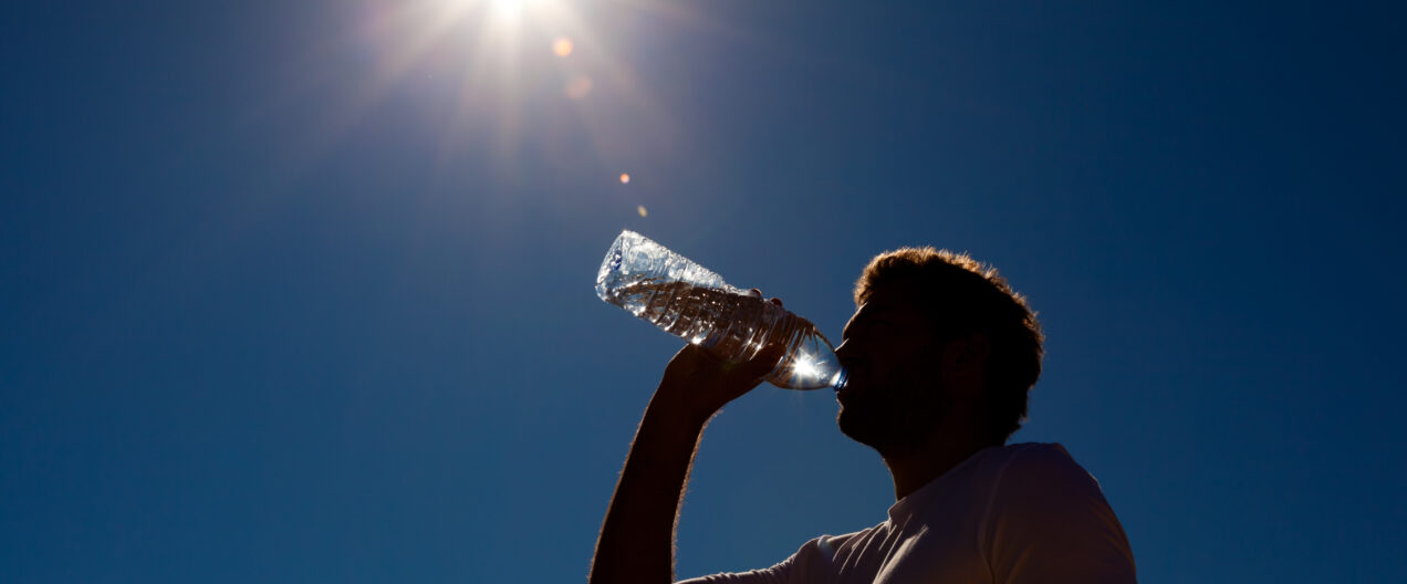 Legionella, Japanese beetles, and market turbulences: What are the consequences of the dry heatwave summer 2026?