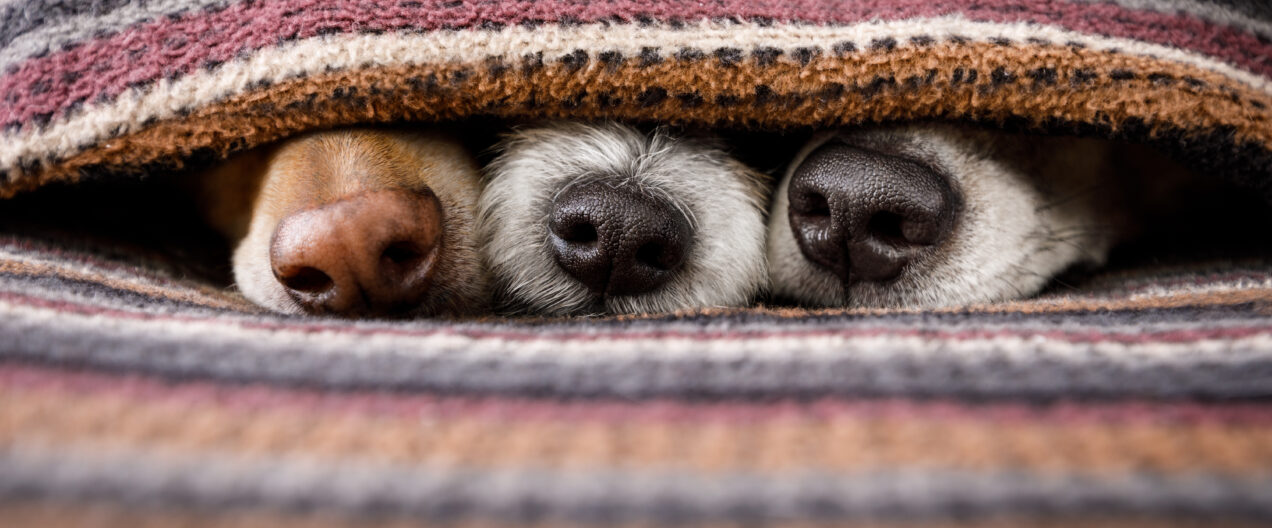 How our daily lives end up in the water