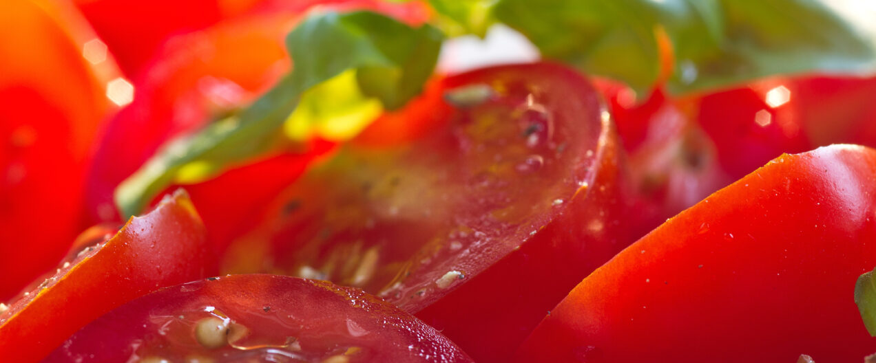 Cheap Spanish Tomatoes Are a Thing of the Past – Now Innovation Is Needed