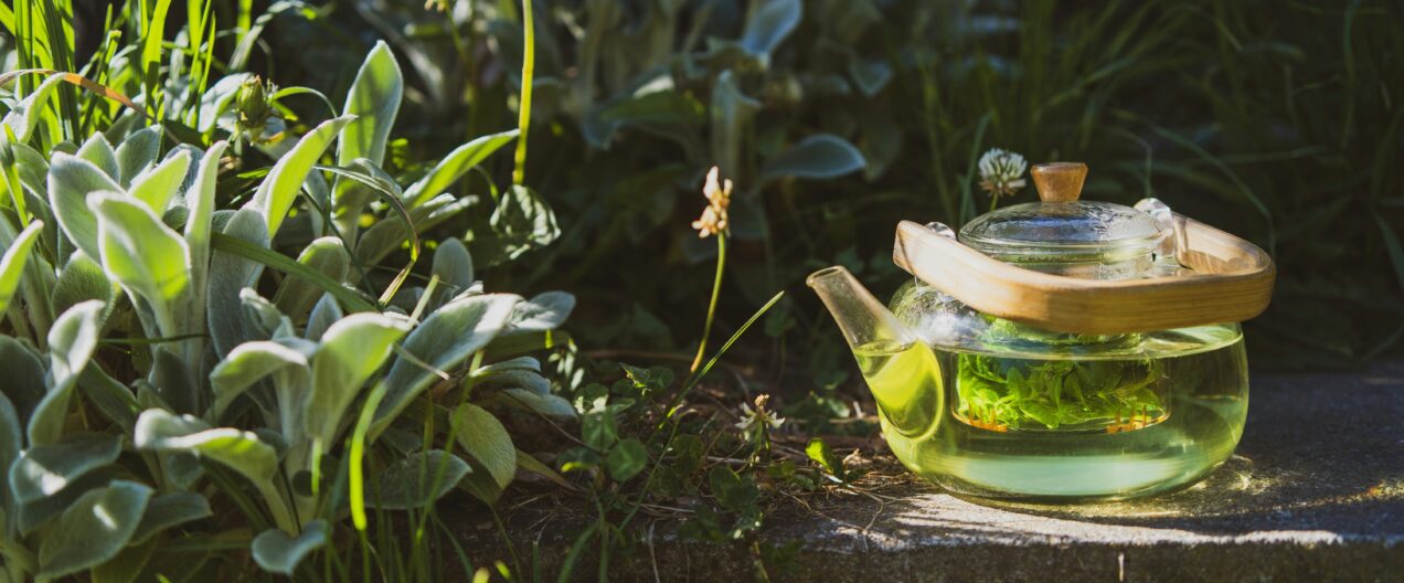 Mit Tee krank statt schlank