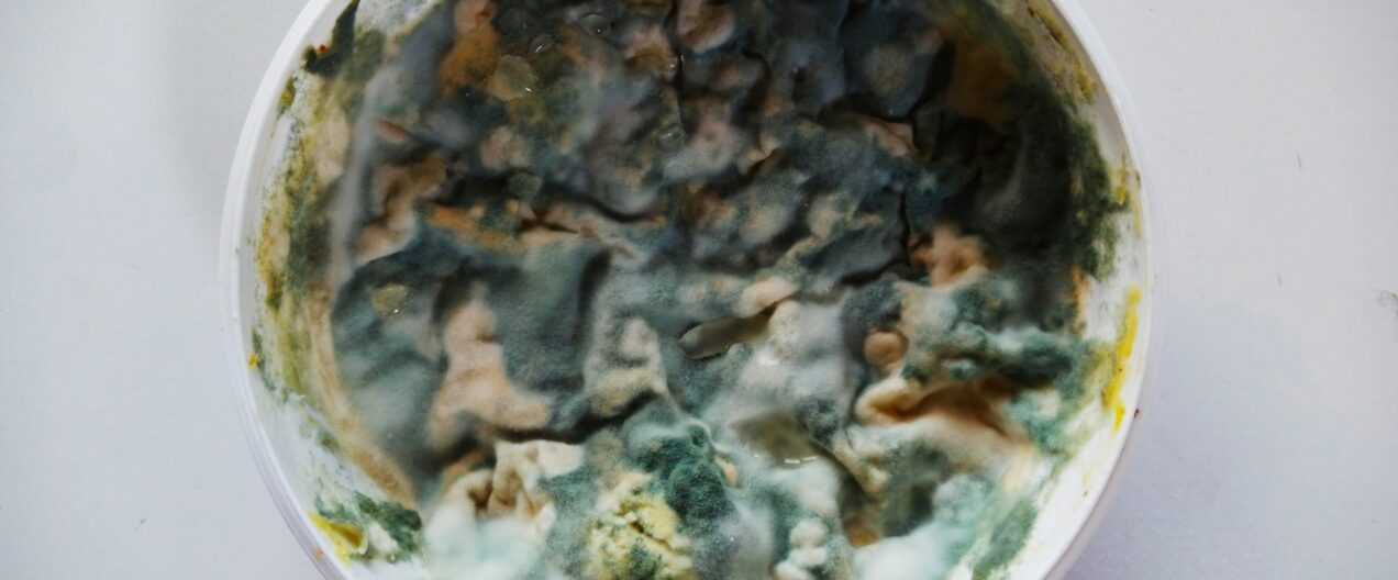 Natürliche Gifte: Unterschätzte Gefahr in unserer Nahrung