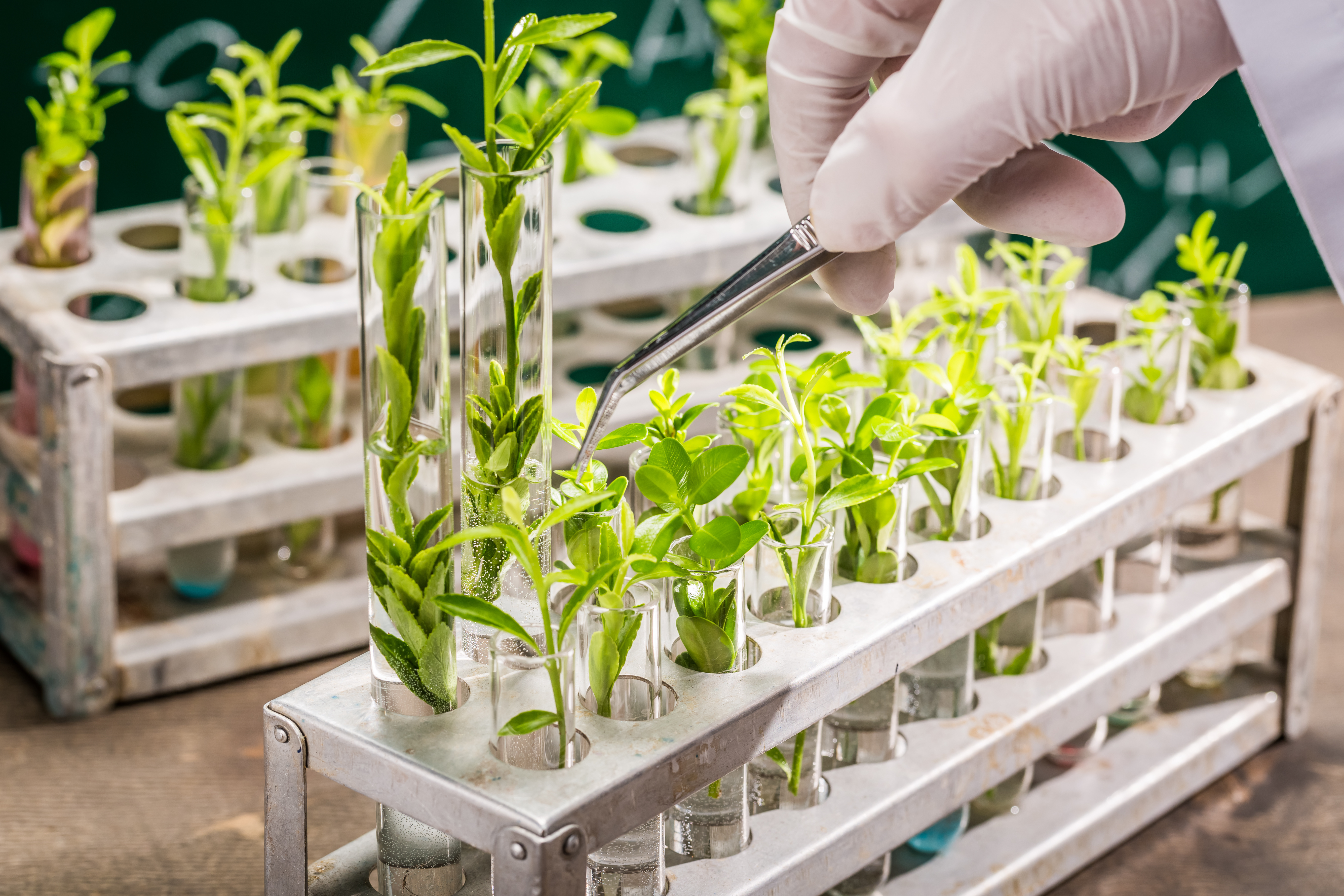 The development of new technologies also means that sustainability will increasingly come from the laboratory in the future. (Image: Adobe Stock)
