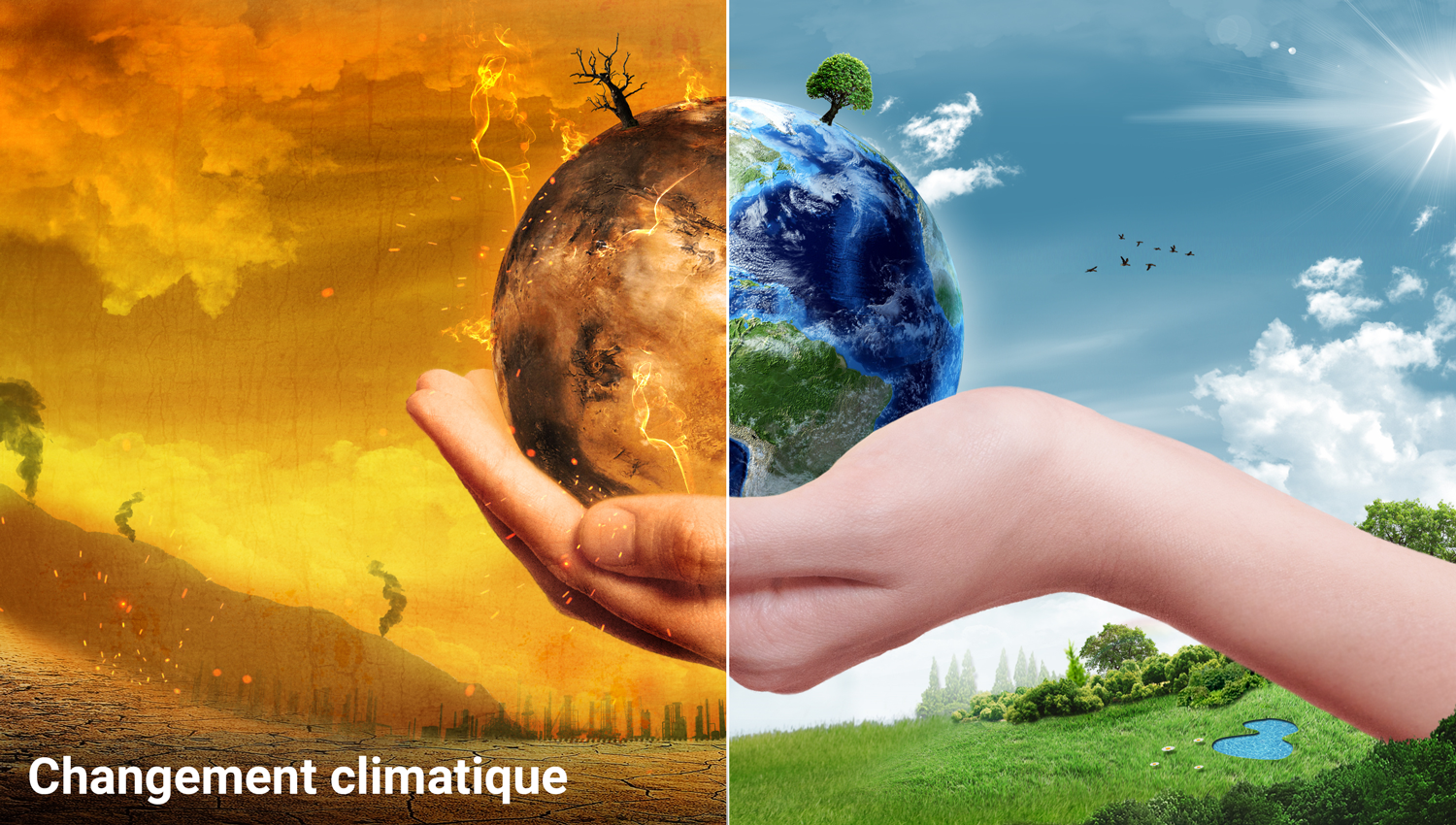 Le changement climatique est l'une des plus importantes mégatendances globales. Elle a un impact profond sur la science et la société. (Image: Adobe Stock)