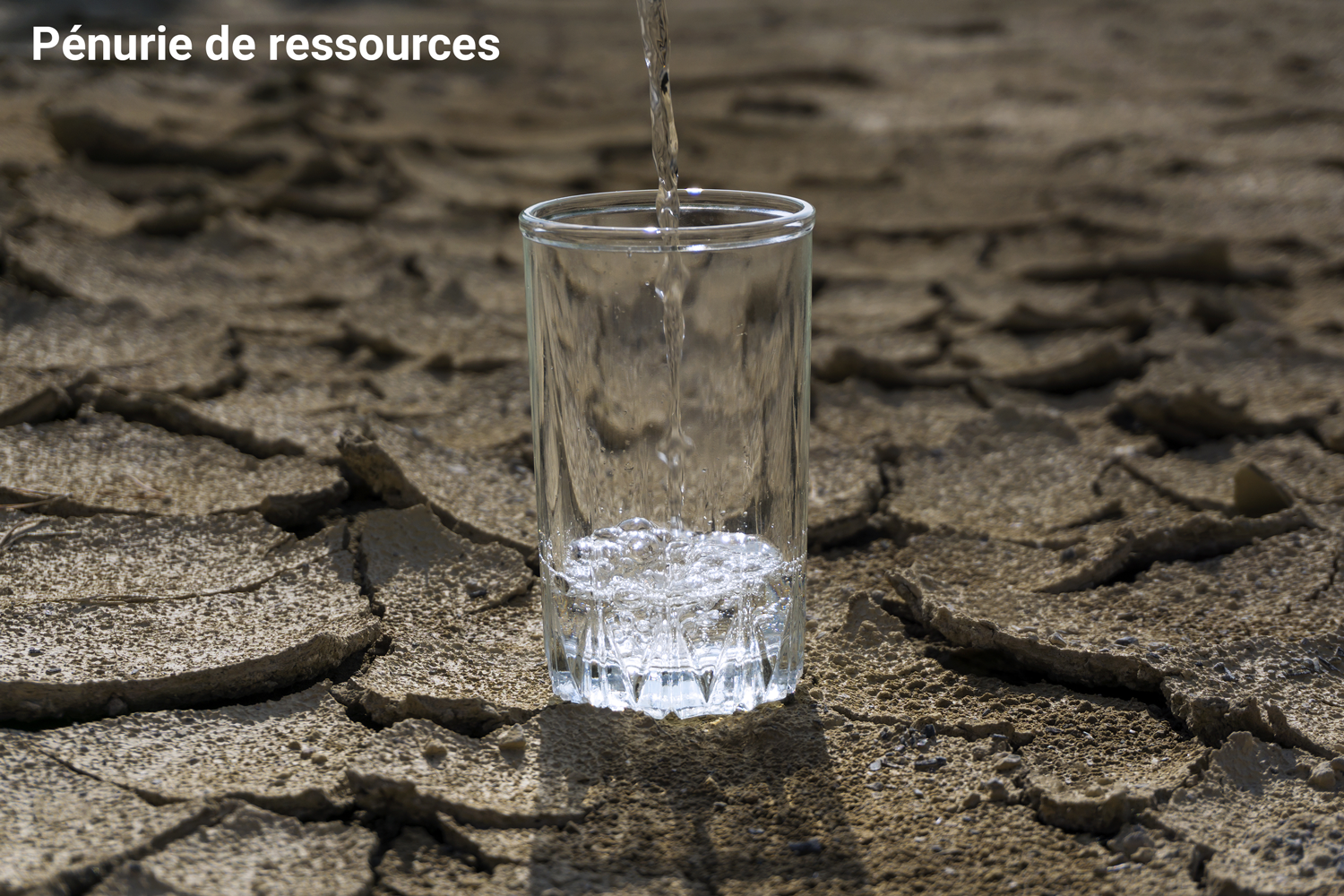 Aujourd'hui, l'agriculture mondiale a déjà besoin de 70 % de l'eau douce prélevée. Le grand défi consiste à produire plus avec moins. (Image: Adobe Stock)