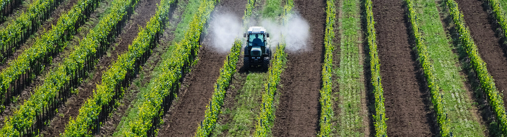 Fünf Mythen über Pestizide