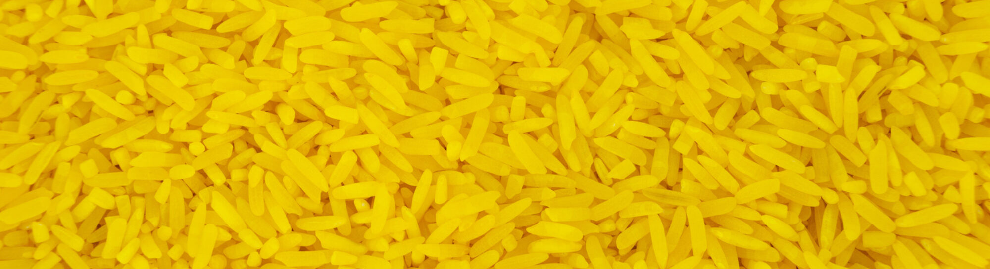 Finally, a golden age for golden rice