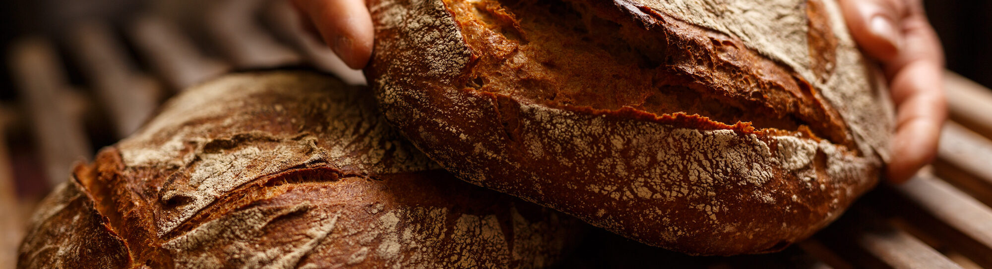 Could bread soon be unrecognizable?