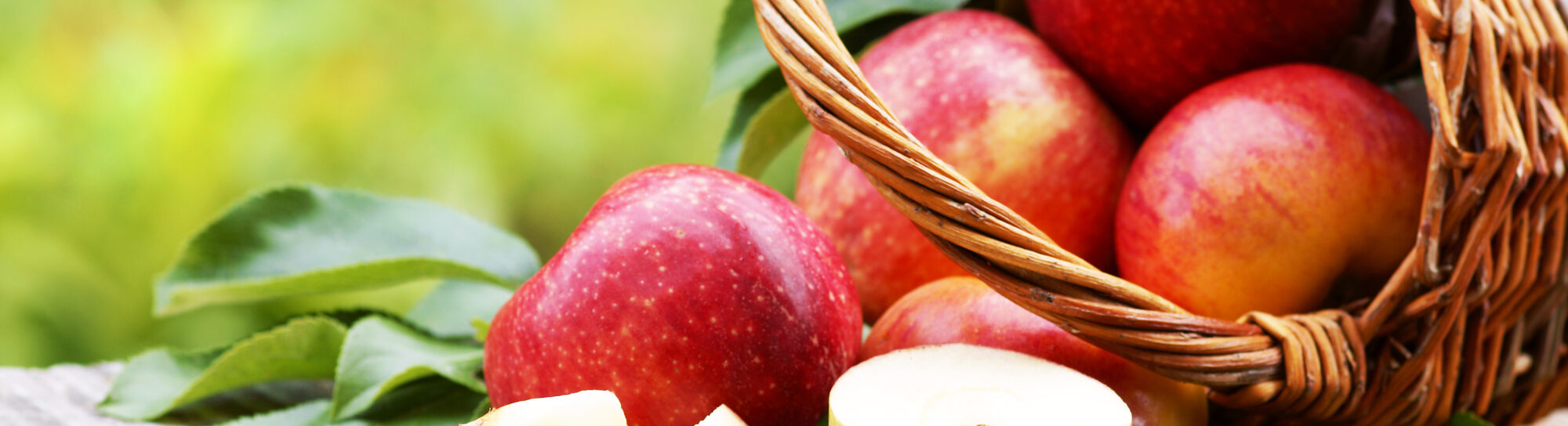 Variétés de pommes populaires en danger