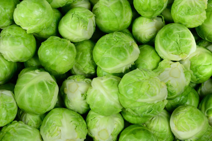 Lack of plant protection resulting in declining cultivation of Brussels sprouts