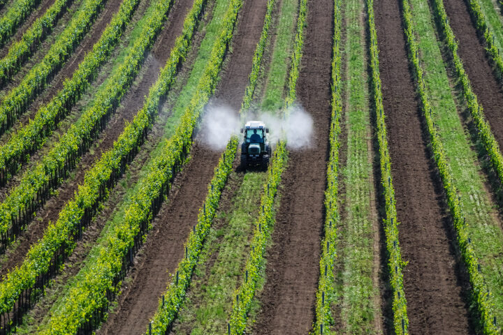 Cinq mythes sur les pesticides