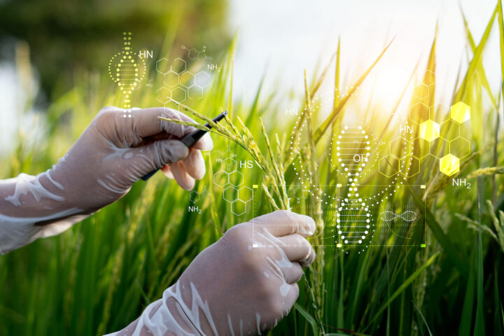 Genomforschung für nachhaltigen Pflanzenschutz