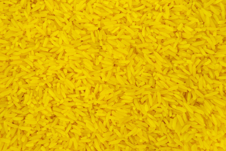 Des vies sauves grâce au riz doré