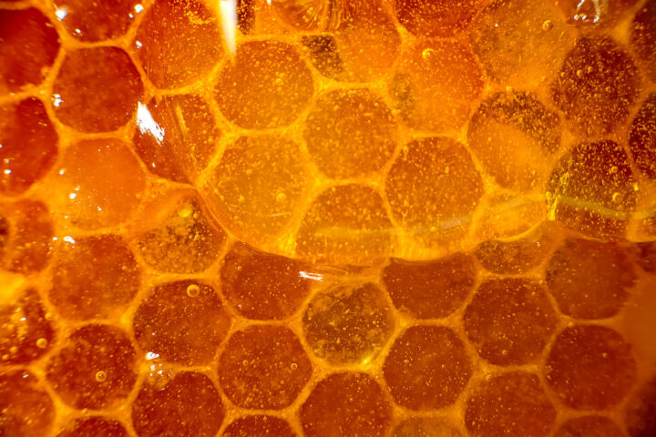 Honig: 2021 Schlechtestes Erntejahr seit Jahrzehnten