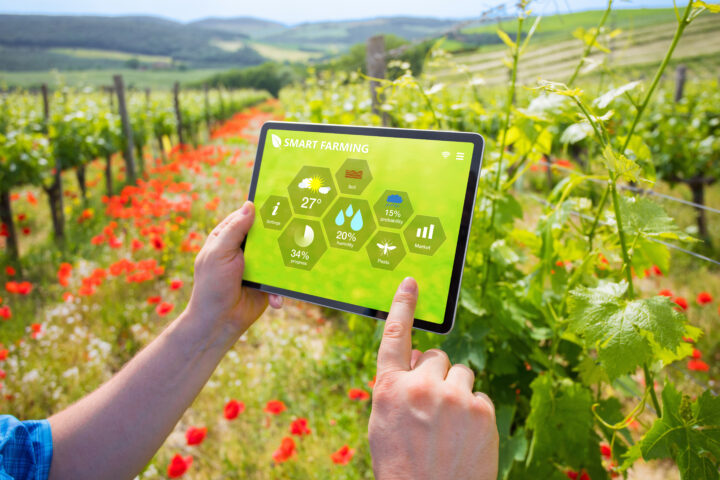 Von Daten zu Ernten – Wie die Digitalisierung die Landwirtschaft verbessert