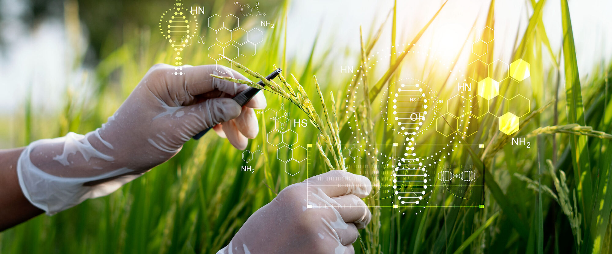 Genome research for sustainable crop protection