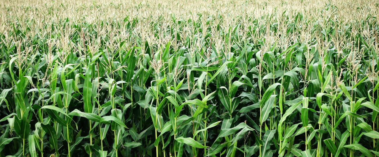 Global facts on world food and agriculture